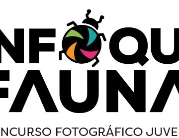 enfoque-fauna-republica-dominicana-studio-nereus Enfoque Fauna: Una crítica al poder transformador de la fotografía científica juvenil