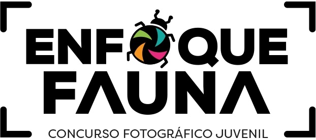enfoque-fauna-republica-dominicana-studio-nereus Enfoque Fauna: Una crítica al poder transformador de la fotografía científica juvenil